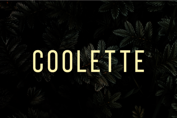 Coolette: A Modern Sans Serif Review