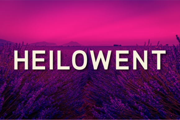 Heilowent Font: A Modern Typeface for Your Business Branding