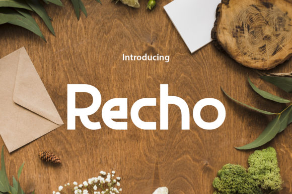 Recho: A Font for Clear Campaigns