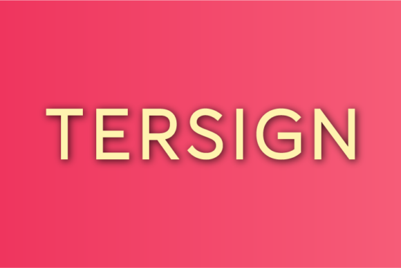 Tersign: A Font for Creative Campaigns