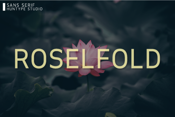 Upgrade Your Brand With Roselfold